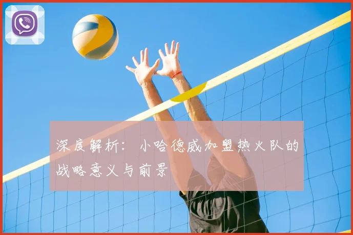 深度解析：小哈德威加盟热火队的战略意义与前景