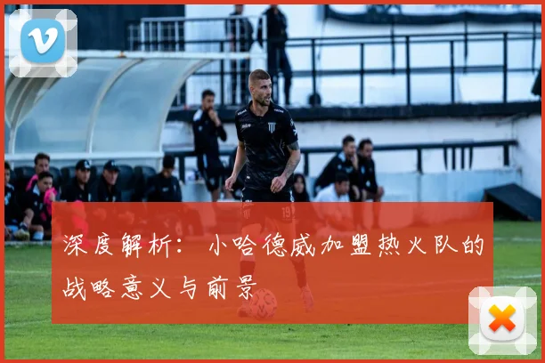 深度解析：小哈德威加盟热火队的战略意义与前景